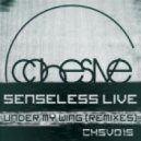 Senseless Live - Sunrise Pilgrum (Van Did Remix)