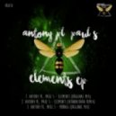 Paul S, Antony Pl - Elements (Vernon Bara Remix)