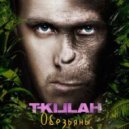 T-killah - Обезьяны (SheffeRSounD remix)