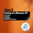 Seva K - Feeling Of A Measure
