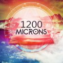 1200 Microns - Magic Mushrooms