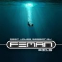 FEMAN - Deep House session #015 ()