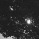 Vassh - For Now...