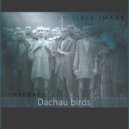 Invisible Image - Dachau birds