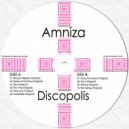 Amniza - Vinyl Love