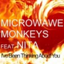 Microwave Monkeys feat. Nita - I\'ve Been Thinking About You (Original Mix)