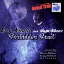 Eric Tenalio & Sugur Shane - Forbidden Fruit (Nanowave Forbidden Mix)