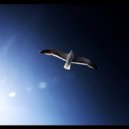 Cezzal - Fly Away