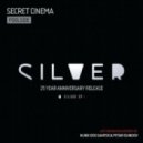Secret Cinema - Poolside (Petar Dundov Remix)