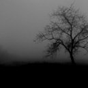 Solace. - You