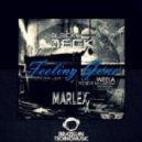 Claire Wills & Hossam feat. Weela - Feeling Gone (BlackTeck & Marlexx Remix)