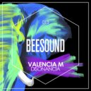 Valencia M - N2B (Original Mix)