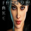 Fatcat Slim - Fake