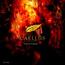 Caellus & Camulus - Ancient Solitude
