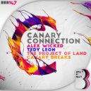 Alex Wicked & Canary Breaks - Funky Style