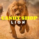 Candy Shop - Sunflower