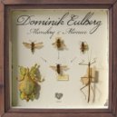 Dominik Eulberg - Mimikry