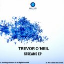 Trevor O'Neil - Digital Dreams In An Analog World