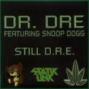 Dr Dre feat. Snoop Dogg - Still D.R.E. (Statik Link Remix)
