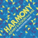 Adam F & Kokiri feat. Rae - Harmony (The Prototypes Remix)