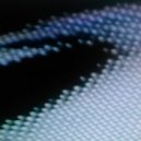 Rflc - Chromosome