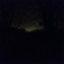 Vagrant - Lumenflower (Original mix)