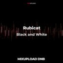Rubicat - Black and White