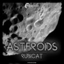 Rubicat - Asteroids