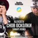 Alekseev - Снов Осколки