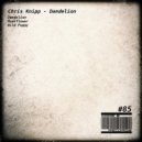 Chris Knipp - Moonflower (Original Mix)