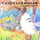 Cameragrammar - I Could Smell Colours