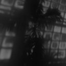 HVRXLD - Pallida