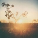 Blure & Stay - Melancolía De Las Mariposas