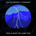 Calvin Harris & Rihanna vs Sebastian Ingrosso & Tommy Trash - This Is What Reload Came For (Tony Helou Mashup)