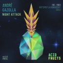 Andre Gazolla - Night Attack (Solc Remix)