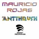 Mauricio Rojas - Antthrush