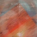 Blizzards - Vida Solar