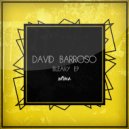 David Barroso - Modulary