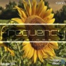 Dj Saginet - Frequency Sessions 104