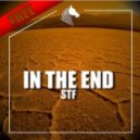 STF - In The End