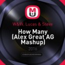 W&W, Lucas & Steve - How Many