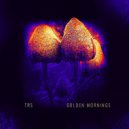 trs - The Visitors