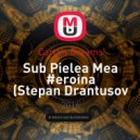 Carla\'s Dreams - Sub Pielea Mea #eroina (Stepan Drantusov remix)