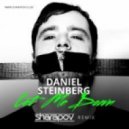 Daniel Steinberg - Let Me Down