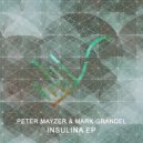 Mark Grandel & Peter Mayzer - Raw