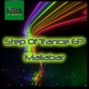 Mallabar - Step Of Trance