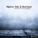 Kassander - Sleepless Spirit (Alpha-Tek & Nortoel Remix)