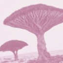 Ametrine - Cinnabari