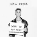 Justin Bieber - What Do You Mean