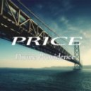DJ PRICE - Divine providence